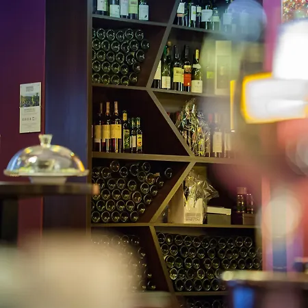 Hotel Mercure Centrum