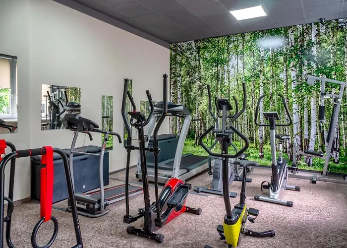 メルキュール チェンストホーバ セントラム 3*